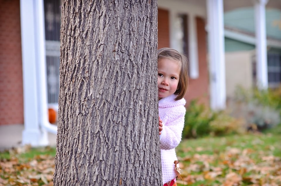 Behind the Tree