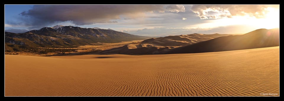 Golden Dunes