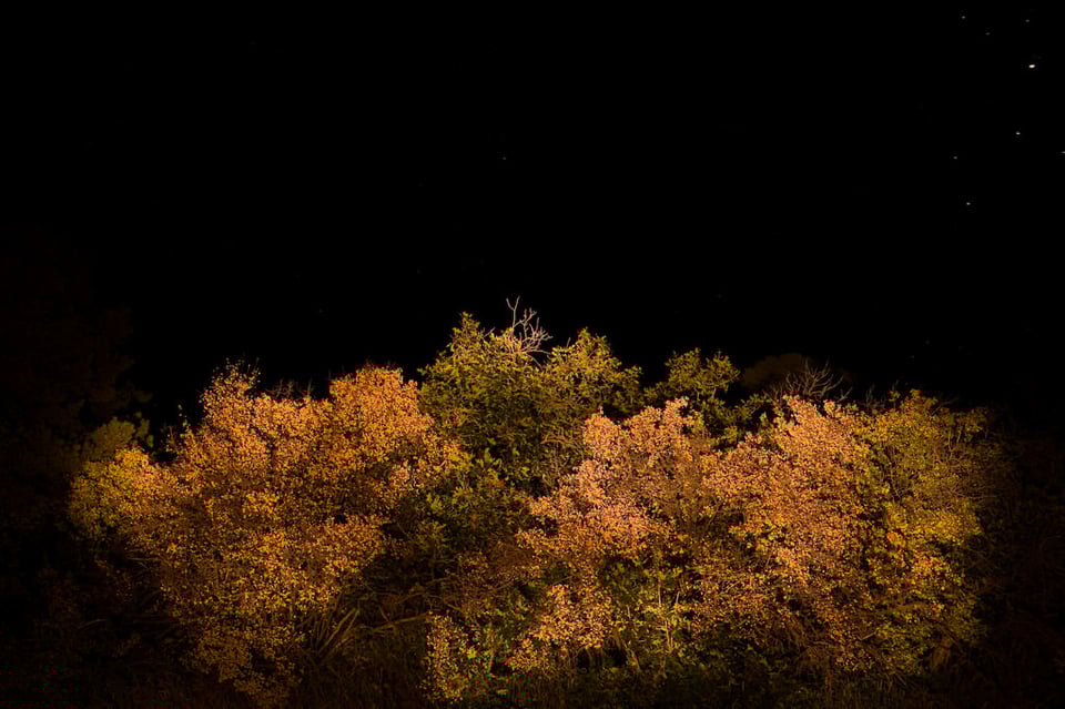 Light Painting Light Painting