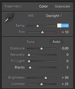 Adjusting Temperature and Tint in Lightroom