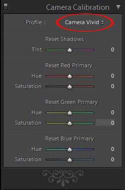 Camera Calibration