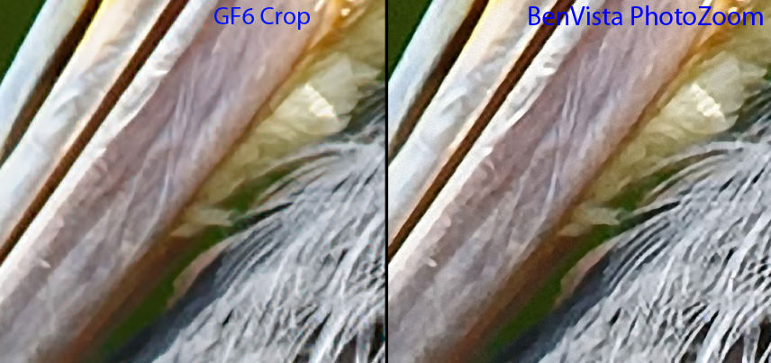 Genuine Fractals vs BenVista PhotoZoom