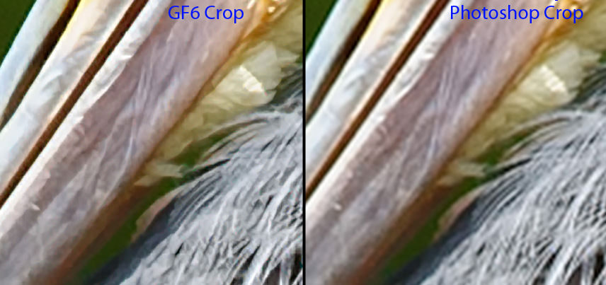 Genuine Fractals vs Photoshop Comparison