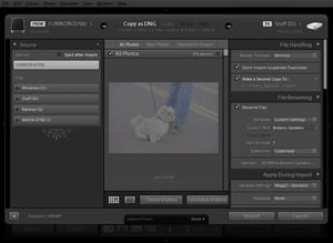 Lightroom Import Screen