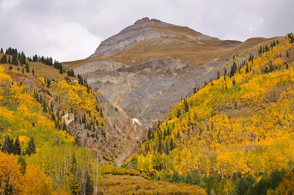Fall Colors Fall Colors