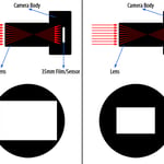 FX and DX camera