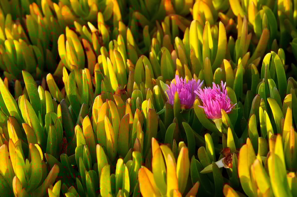 Nikon 24-120mm f4G VR Sample Image (16)