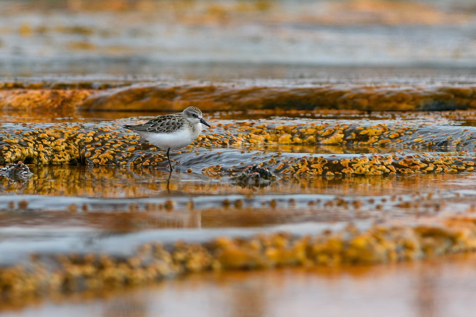 Nikon 24-120mm f4G VR Sample Image (37)