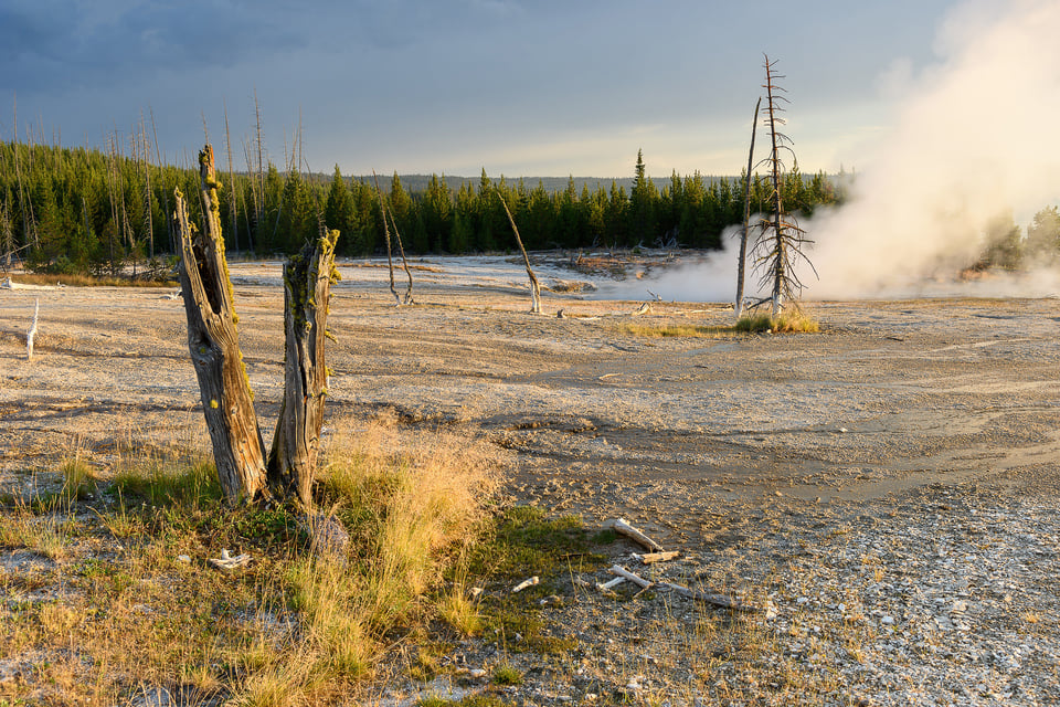 Nikon 24-120mm f4G VR Sample Image (49)