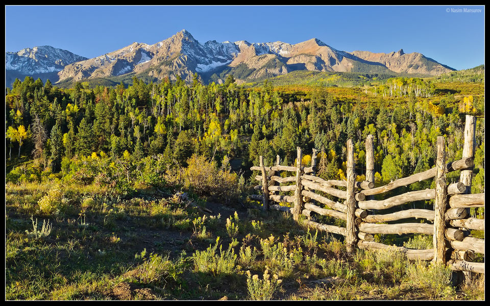 Fence Through Forest