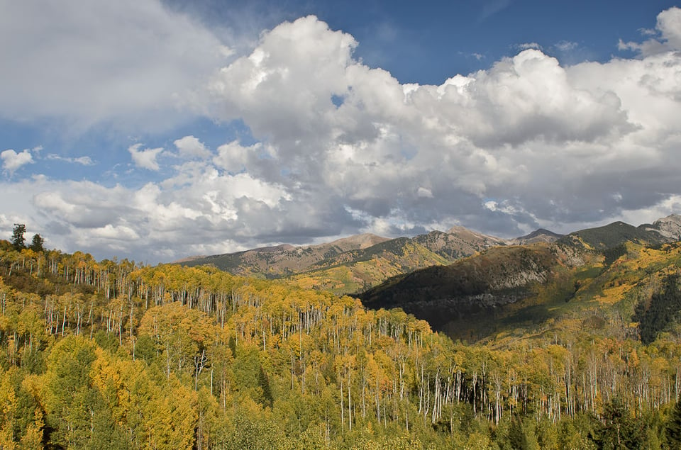 Mountain Pass in Fall