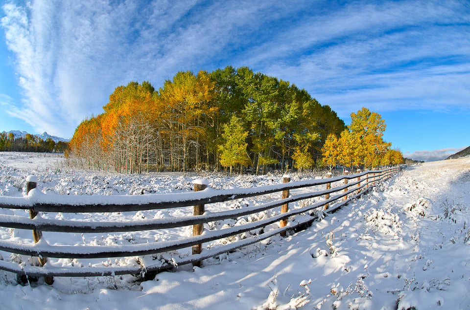 Aspen Snow