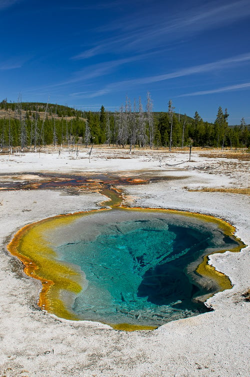 Yellowstone Hot Spring