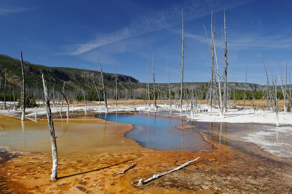 Yellowstone