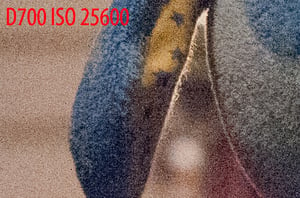 Nikon D700 ISO 25600 vs DX