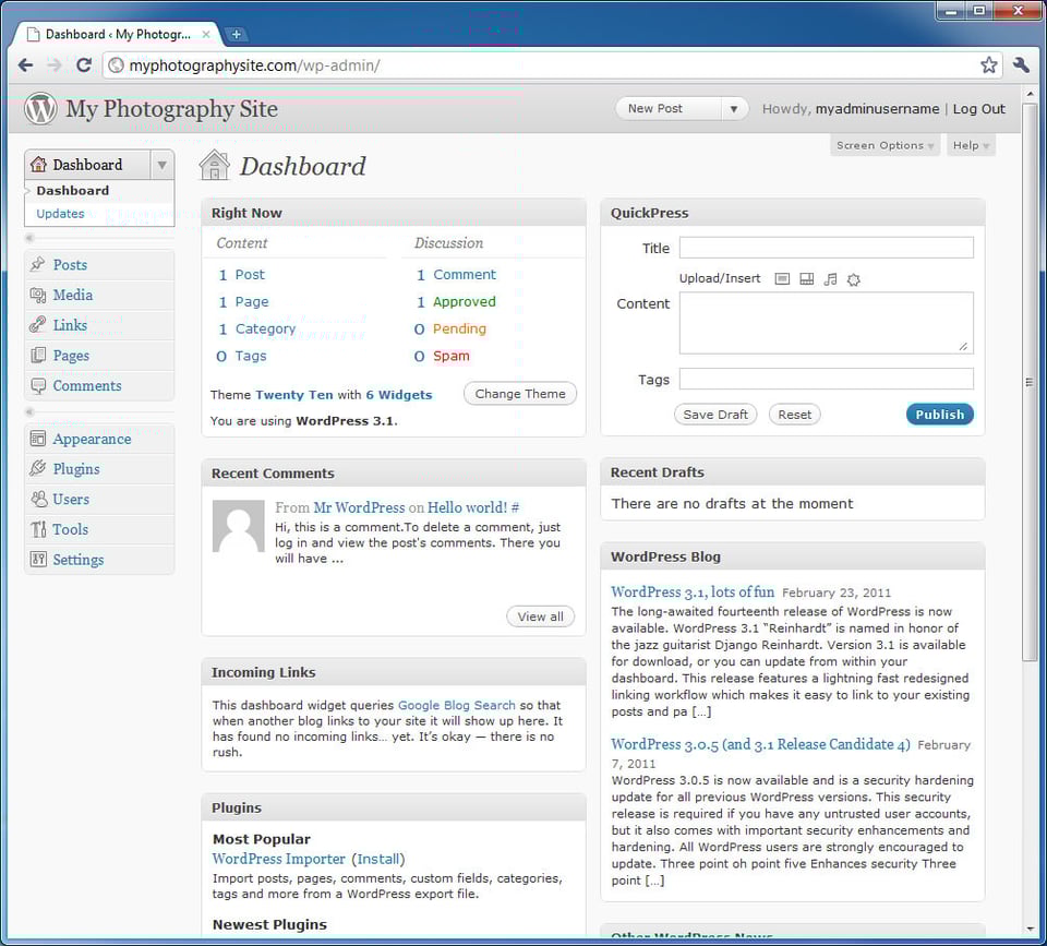 WordPress Admin Page