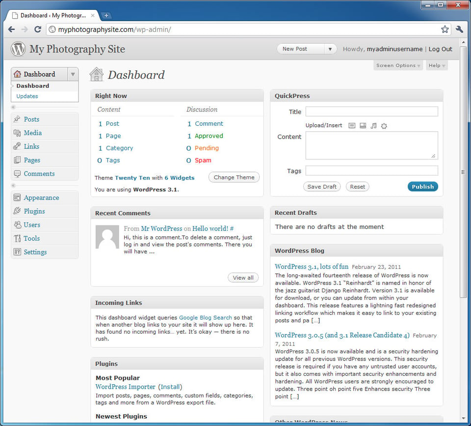 WordPress Admin Page