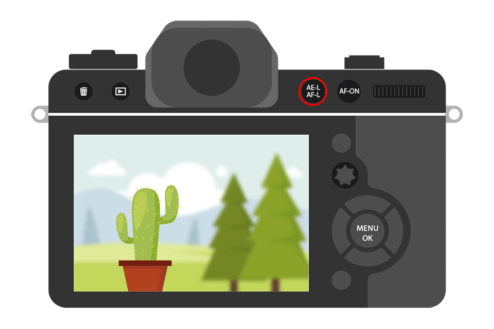 Nikon AE-L AF-L Button