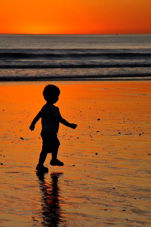 Sunset Silhouette