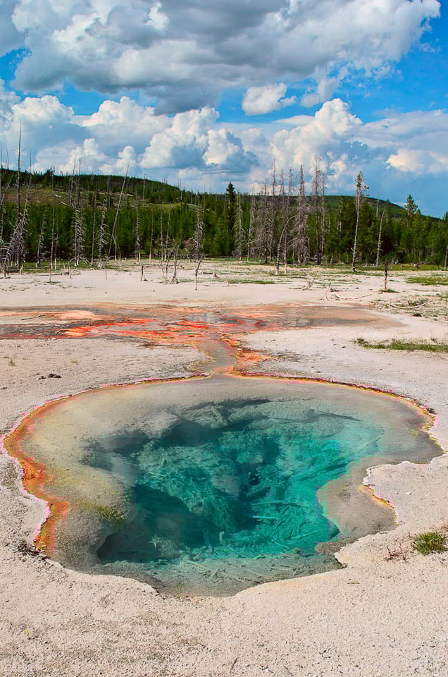 Yellowstone Hot Spring Yellowstone Hot Spring