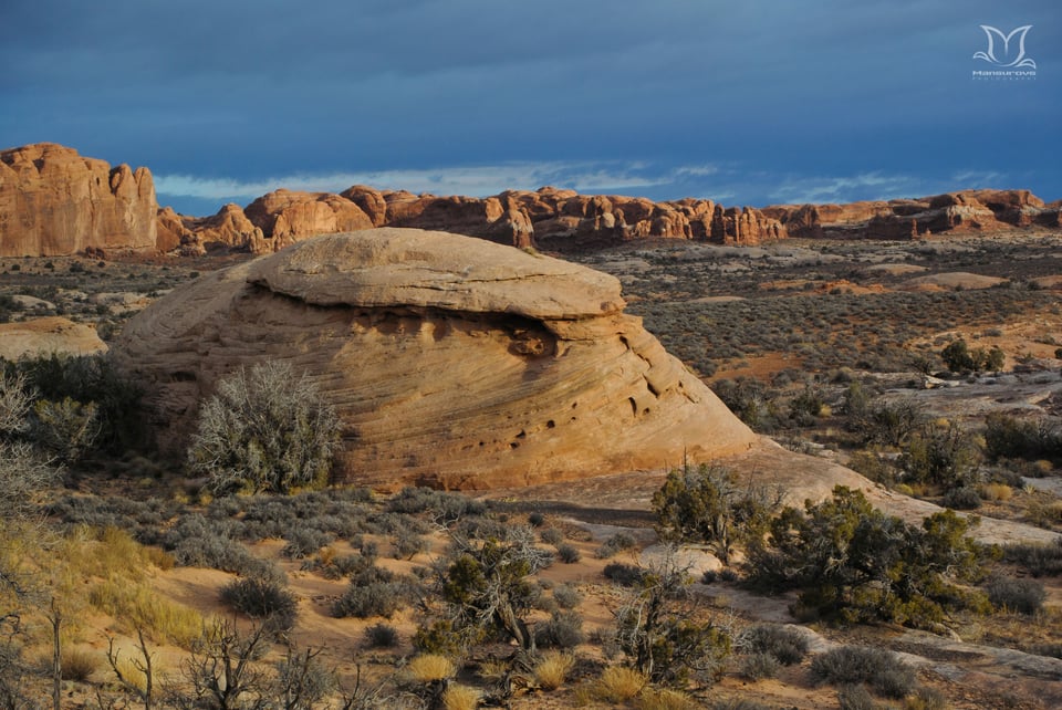 Petrified Dune