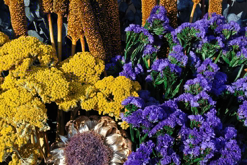 Yeloow and Blue Flowers Yellow and Blue Flowers