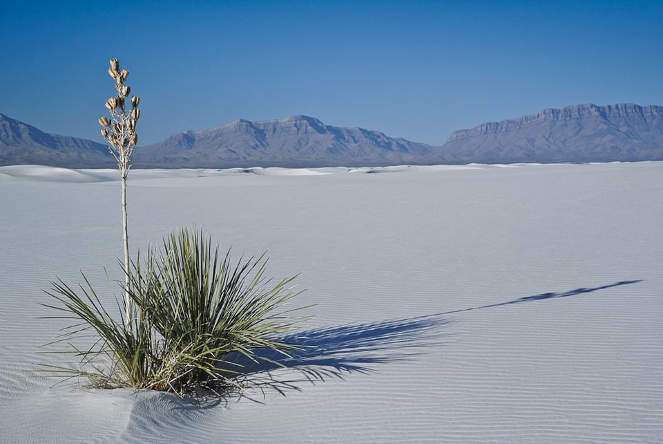 White Sand Dunes