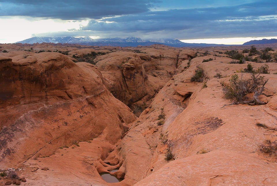 Petrified Dunes Canyon