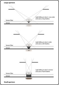 Dust on Sensor