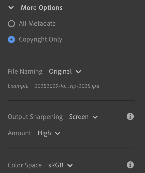 Lightroom CC More Options