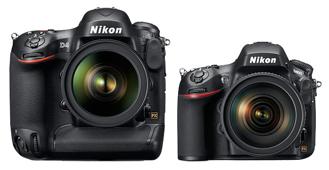 Nikon D4 vs D800