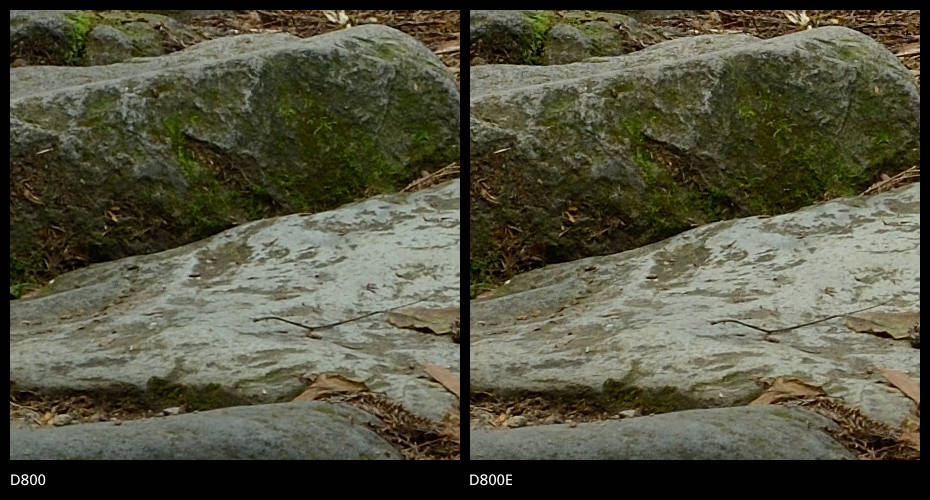 Nikon D800 vs D800E Sharpness