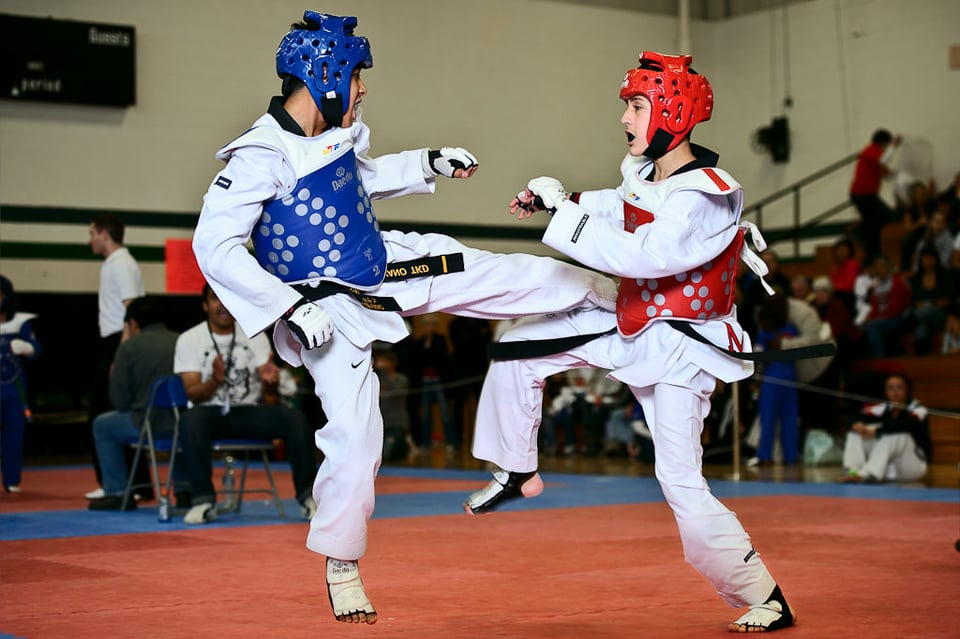 Taekwondo (3)