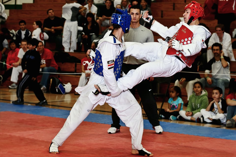 Taekwondo (9) Taekwondo (9)