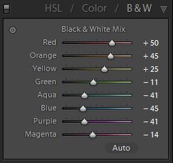 B&W HSL Panel B&W Adjustment