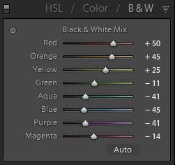 B&W HSL Panel B&W Adjustment