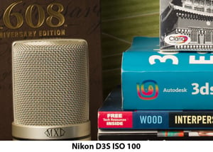 Nikon D3s ISO 100