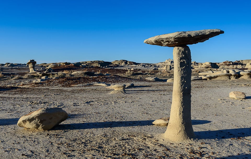 Bisti Badlands #11 Bisti Badlands #11