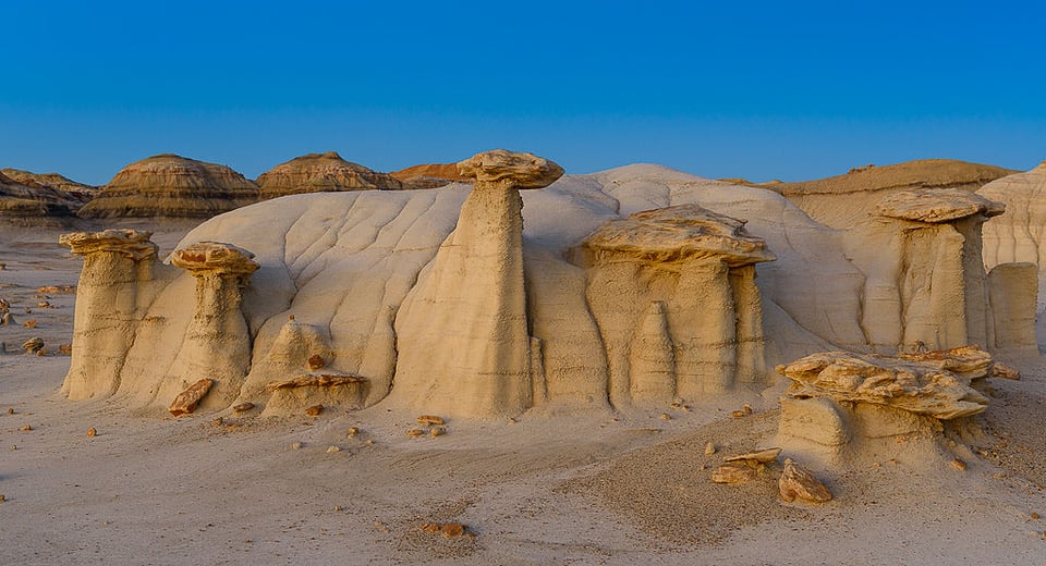 Bisti Badlands #14 Bisti Badlands #14