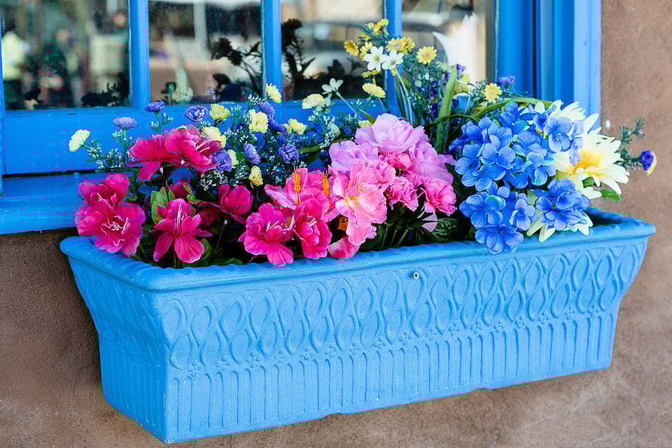 Flowers Flowers