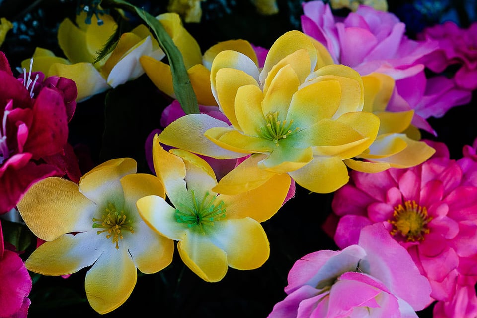 Flowers Flowers