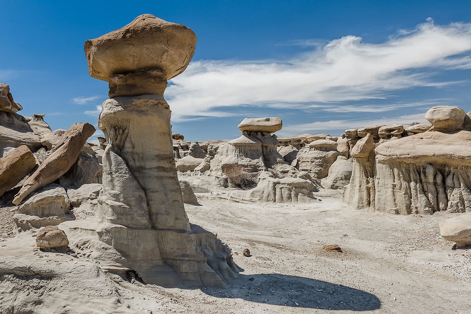 Bisti Baldands #7 Bisti Baldands #7