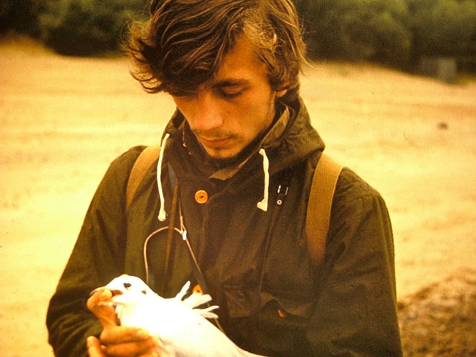 My father and a dying seagull