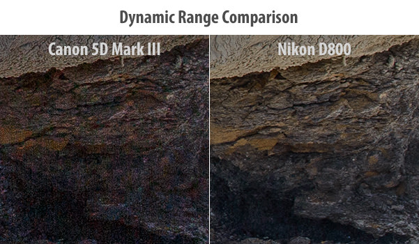Canon 5D Mark III vs Nikon D800 Dynamic Range Comparison