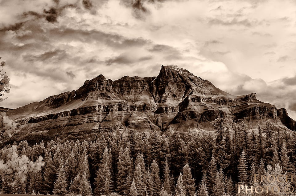 Columbia-Icefields-2