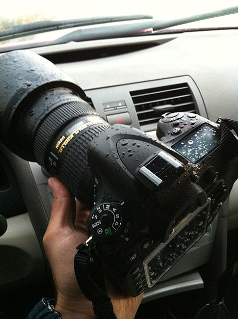 Nikon D600 after rain