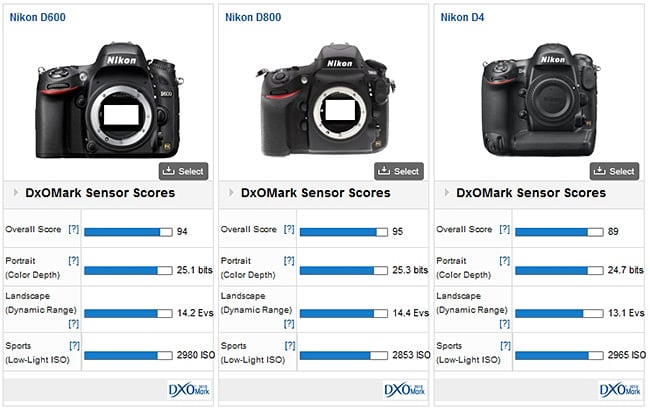 Nikon D600 vs D800 vs D4