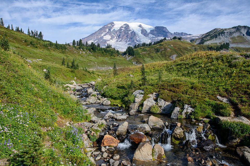 Mt Rainier Stream