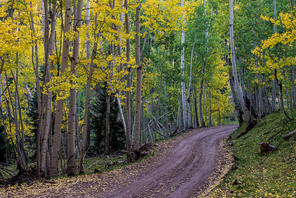 Leading Road