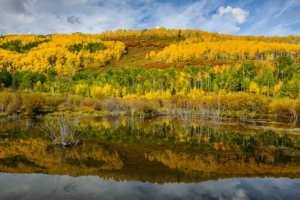 Mirror Pond Reflection